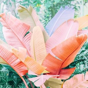 Meet your Posher, Aly